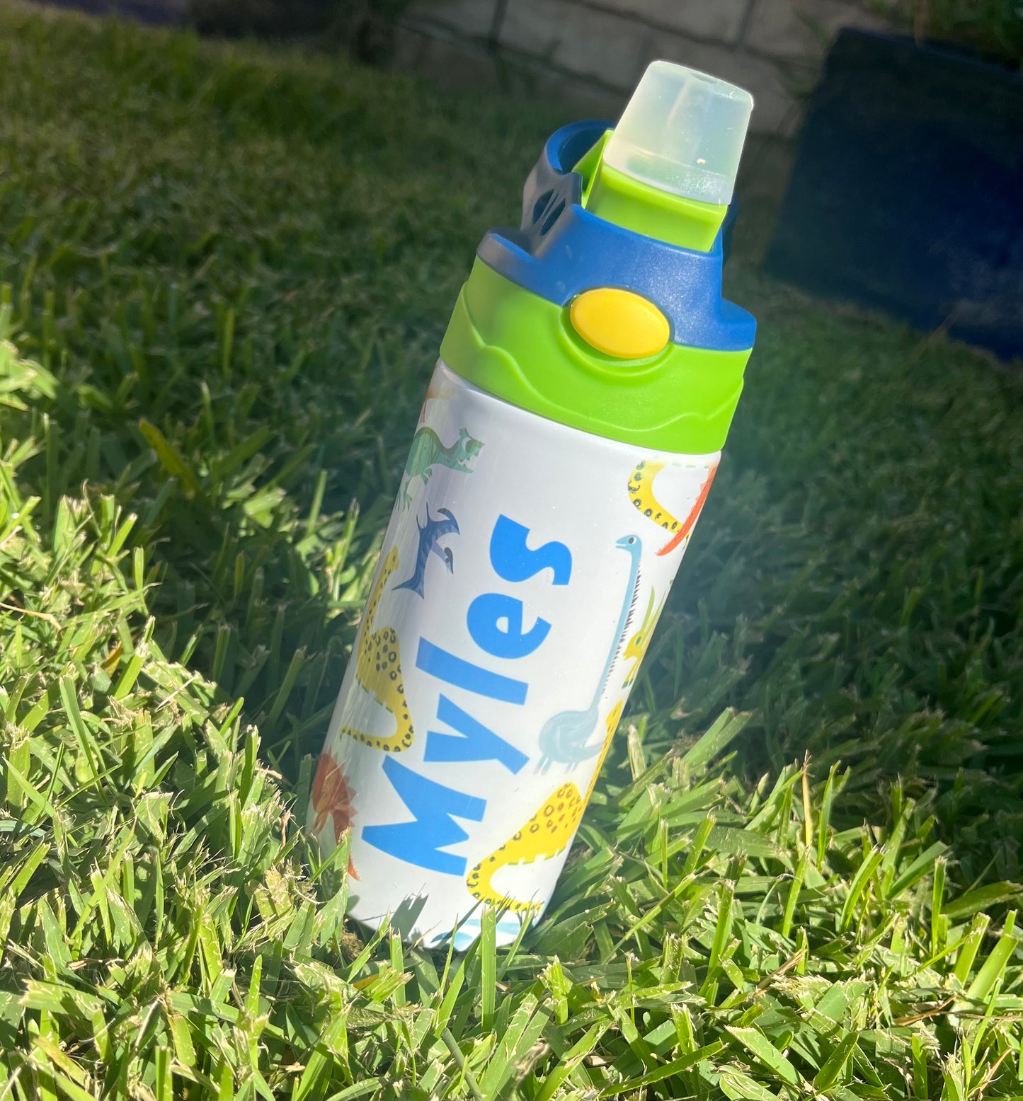 Kids Dinosaur Drink bottle